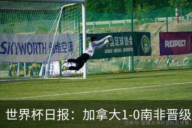 世界杯日报：加拿大1-0南非晋级创历史 韩国主帅洪明甫下课