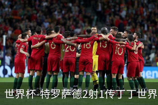 世界杯-特罗萨德2射1传丁丁世界波 比利时5-1新西兰获头名